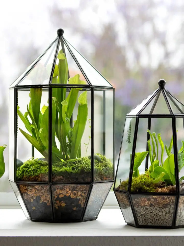 Pyramid Glass Terrarium