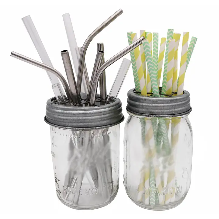 Galvanized Metal Flower Organizer Frog Lid For Mason Jars