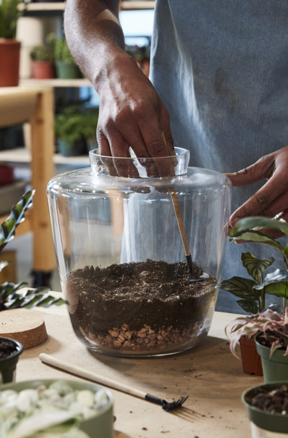 Large Terrarium Jar with Cork Lid