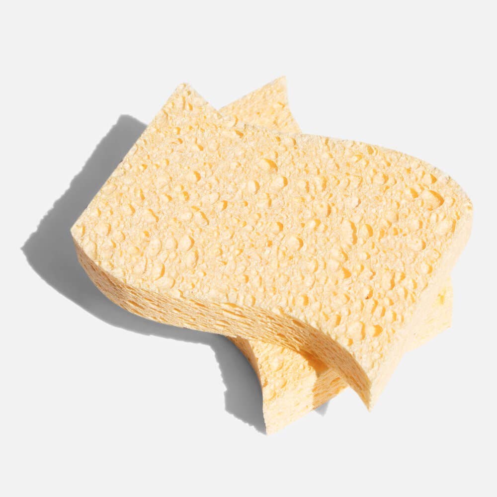 Biodegradable Kitchen Sponges - 2 Pack