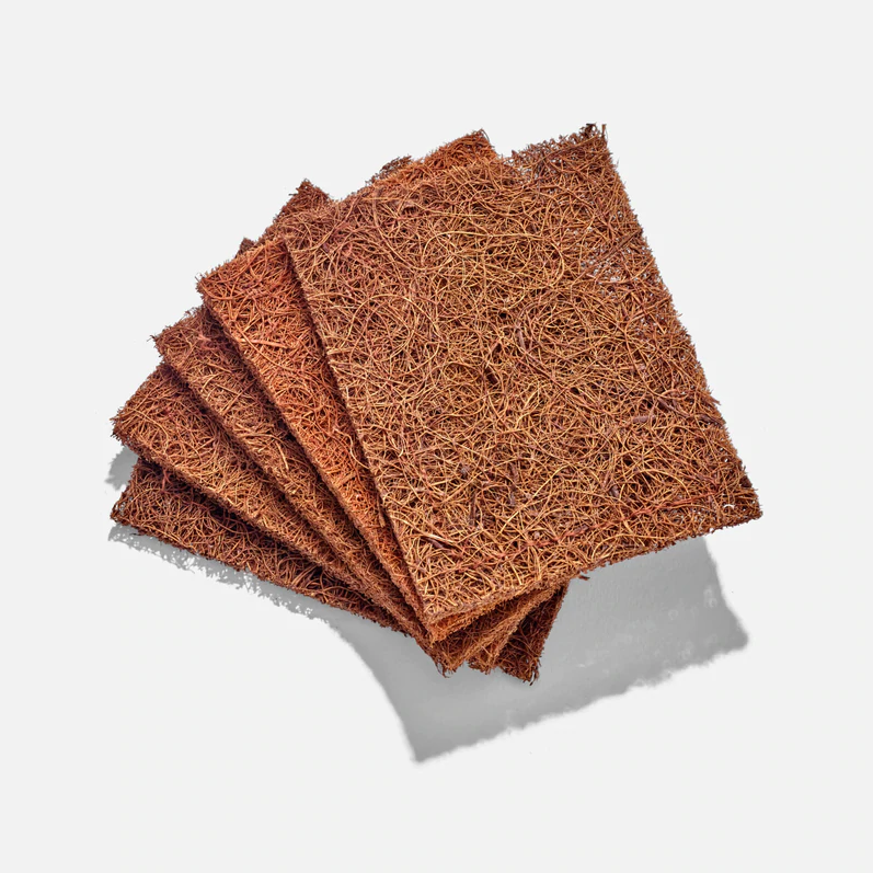 Biodegradable Coconut Kitchen Scourers - 5 Pack