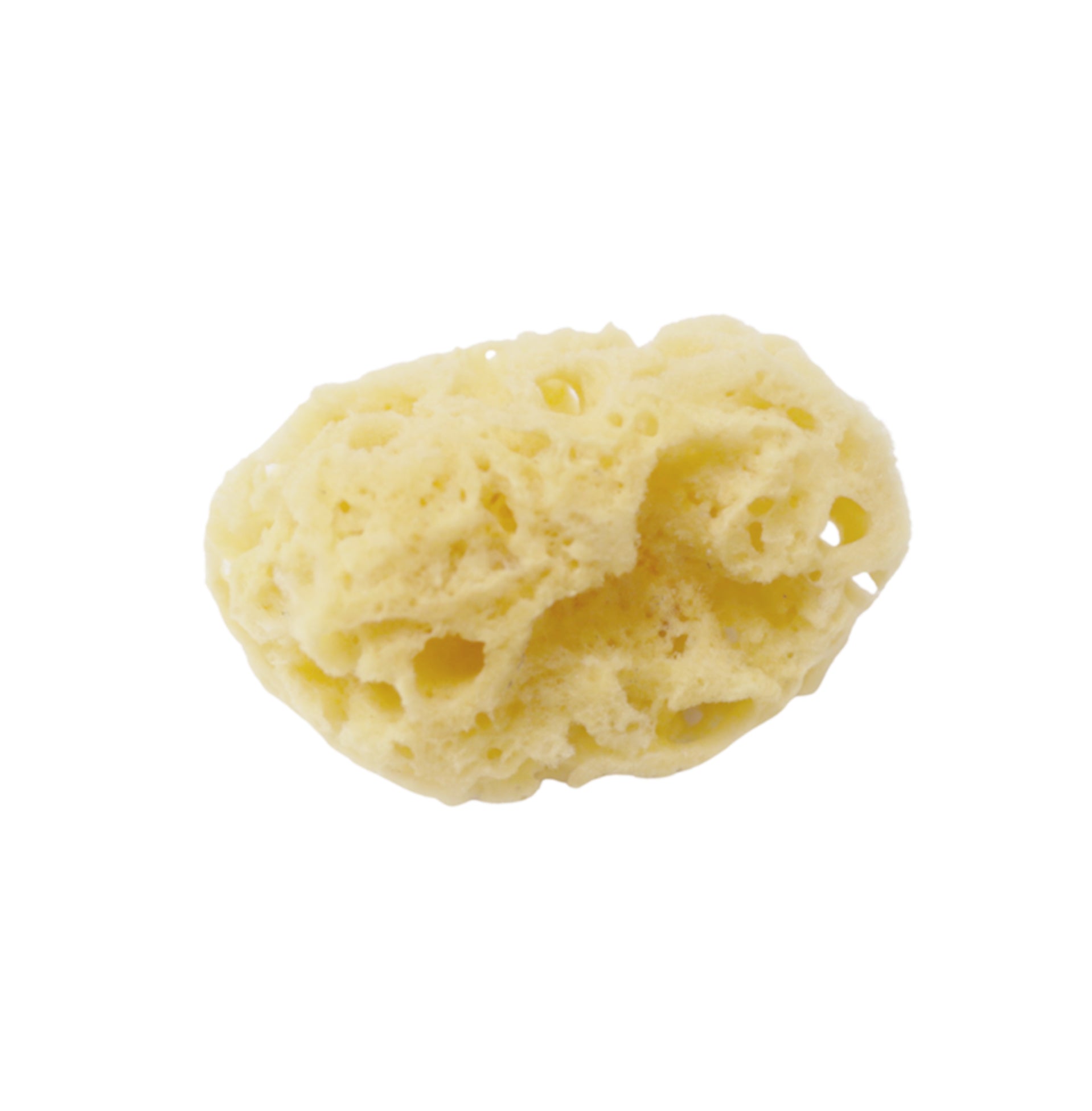 Unbleached Dead Sea Sponge